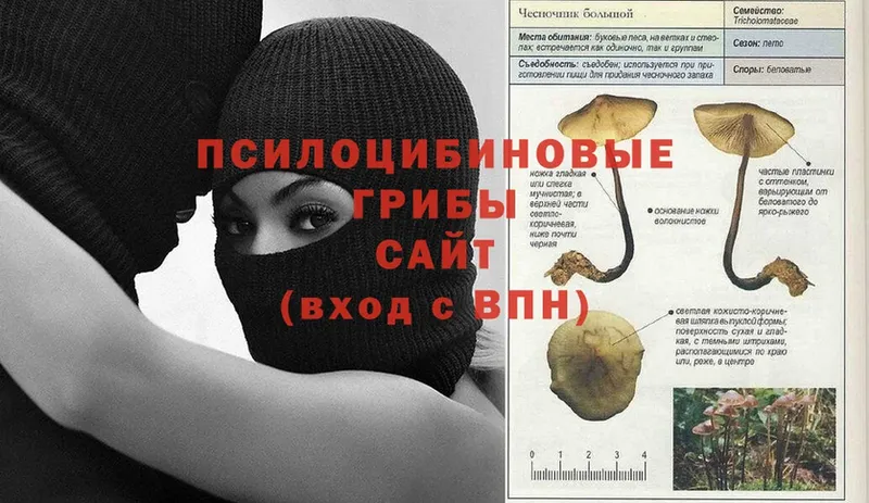 Псилоцибиновые грибы MAGIC MUSHROOMS  гидра как зайти  Мышкин 